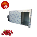 Lychee Longan Dryer Large-Scale Hot Air Drying Equipment